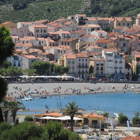 Appartement Avec Grande Terrasse Vue Sur Mer Banyuls-sur-Mer Zewnętrze zdjęcie